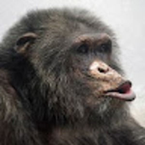 Meet your Posher, Aiden